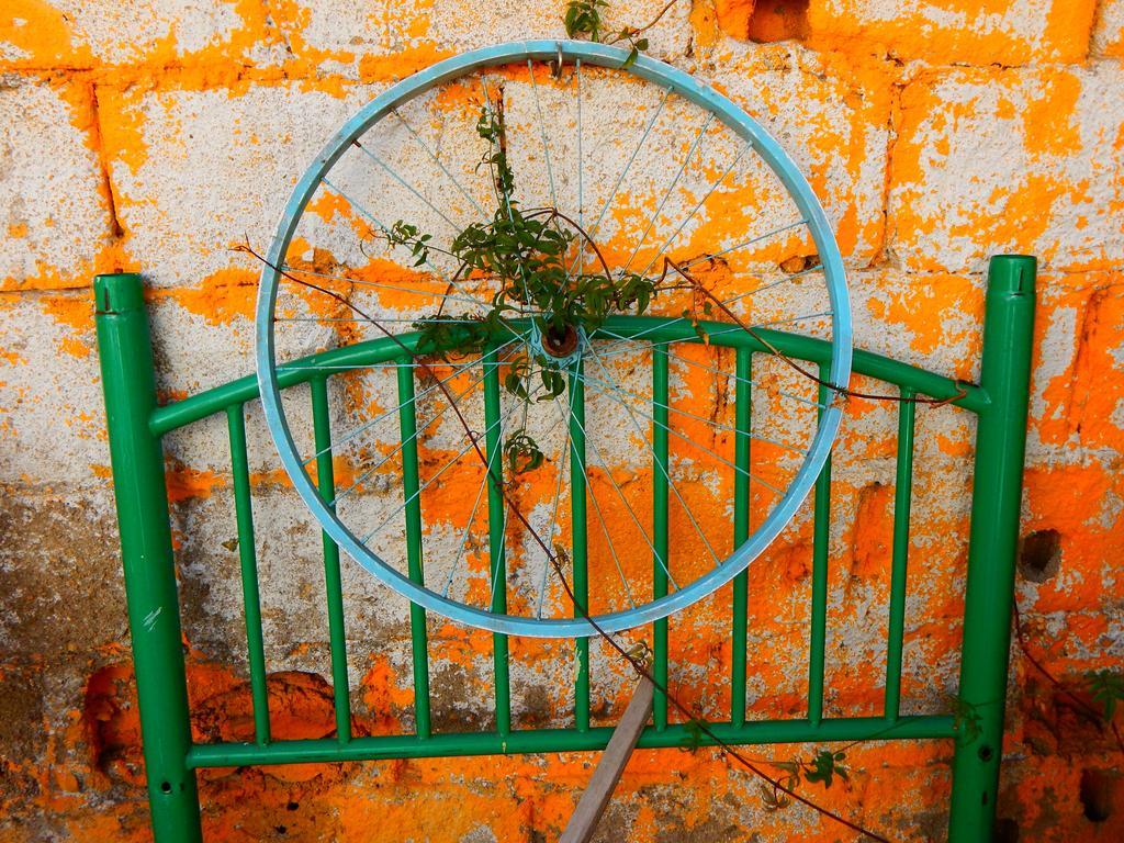 Street Garden Hostel Vina del Mar Eksteriør billede